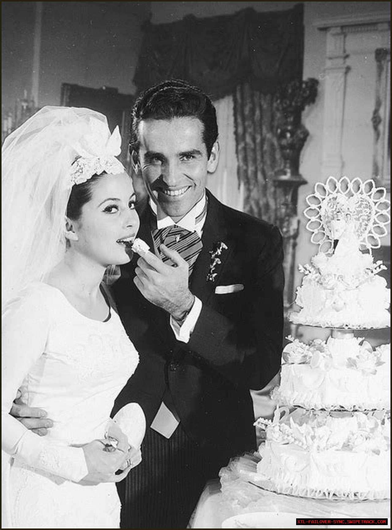 Who Was Barbara Parkins' Husband? A Deep Dive Into Her Life And Relationships